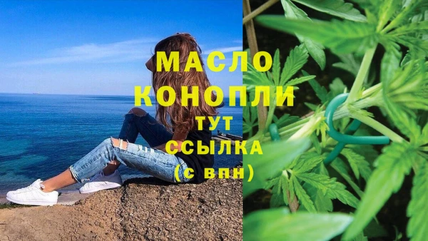 гидропоника Гусь-Хрустальный