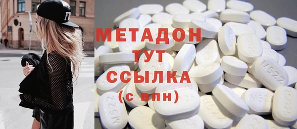 прущие грибы Коряжма