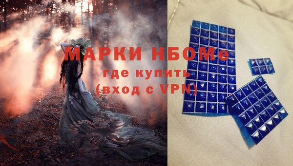 гидропоника Гусь-Хрустальный