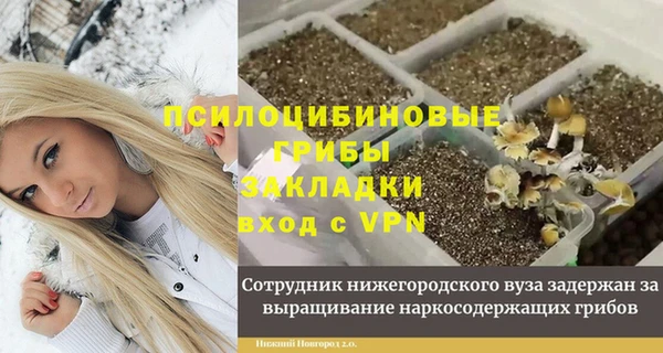 гидропоника Гусь-Хрустальный