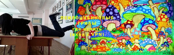 стаф Гусиноозёрск