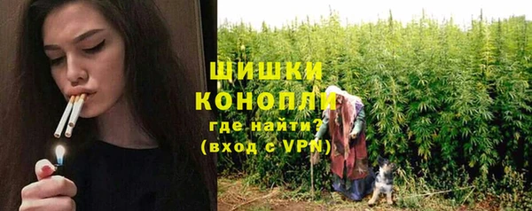 гидропоника Гусь-Хрустальный