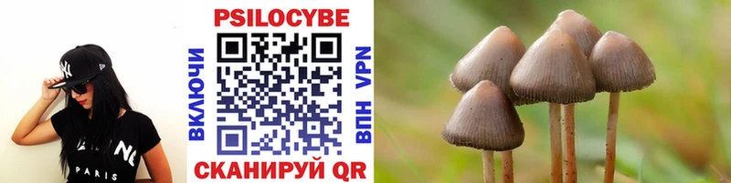 Псилоцибиновые грибы Psilocybine cubensis  Новая Ладога 